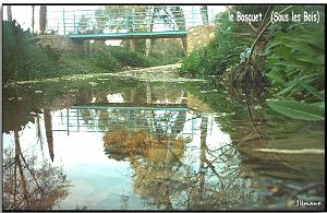 LE TELAGH LE BOSQUET SOUS LES BOIS